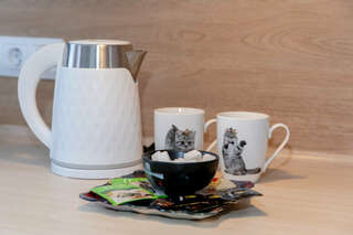 Гостиница Грифон Санкт-Петербург Стандартный номер-студия-11