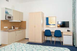 Гостиница Грифон Санкт-Петербург Стандартный номер-студия-2